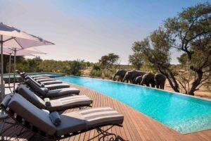 Luxury Safari Lodges: Where to Stay for a Once-in-a-Lifetime Experience